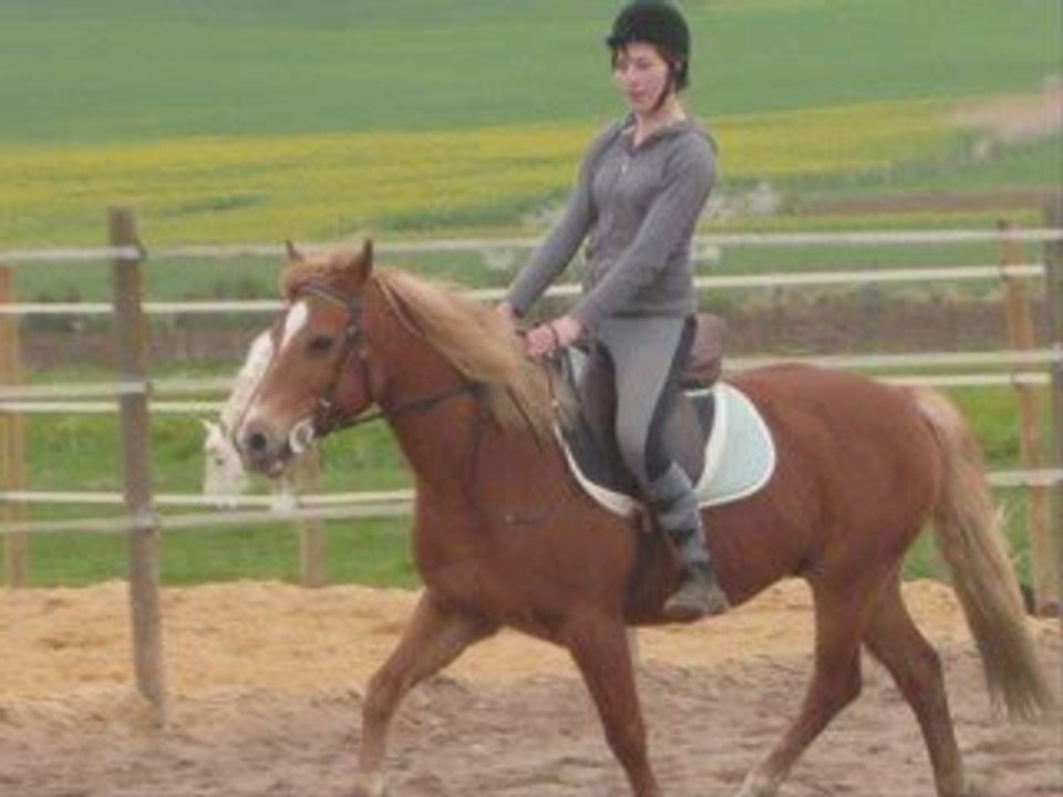 Pour ma loutii ( angelique )