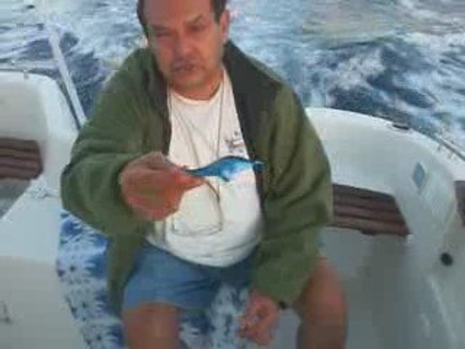 Video 10