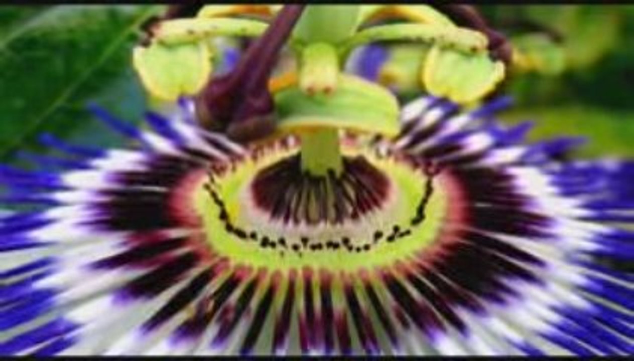 How To Increase Female Libido In 5 Days!