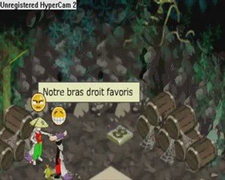 Les Amis De Dofus
