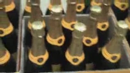 Buying Wine in Cancun - Screw It #19 - SuppleWine.com