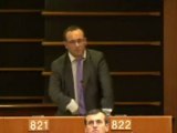 Damien Abad au Parlement européen sur le oui irlandais