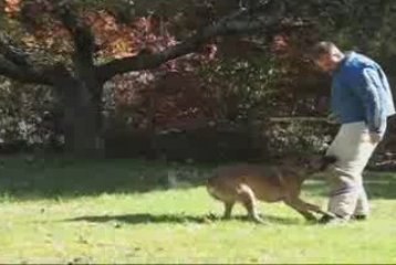 Bob Solimini Decoy School