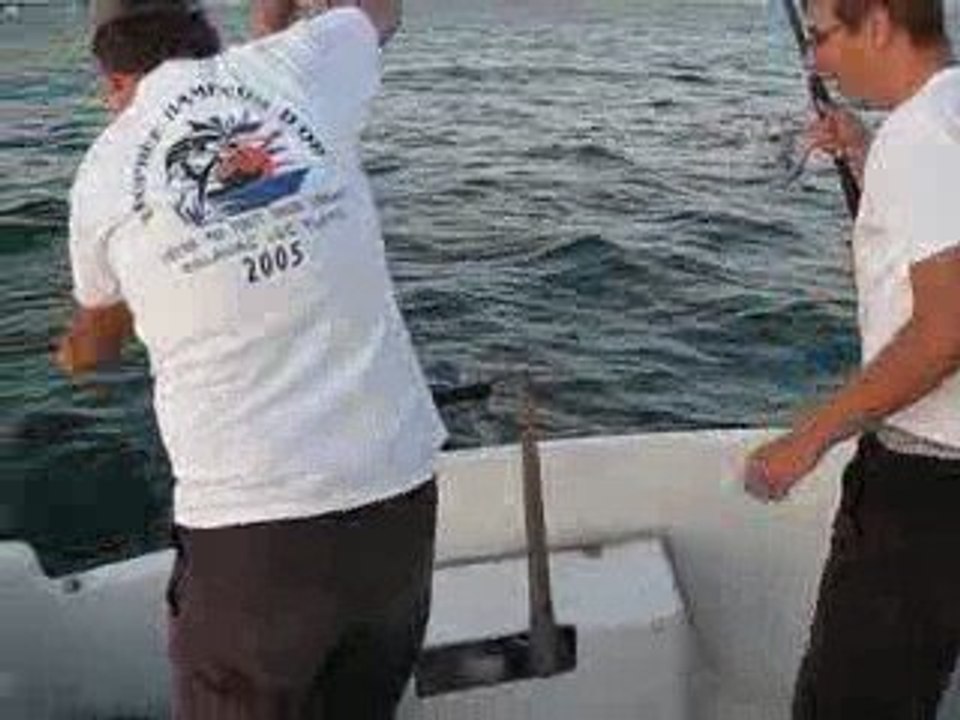 Pêche seiche