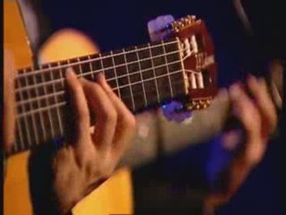 Live Maxime Le Forestier*Education Sentimentale*2002