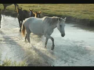 Kazakhstan, de la steppe à la mer d'Aral