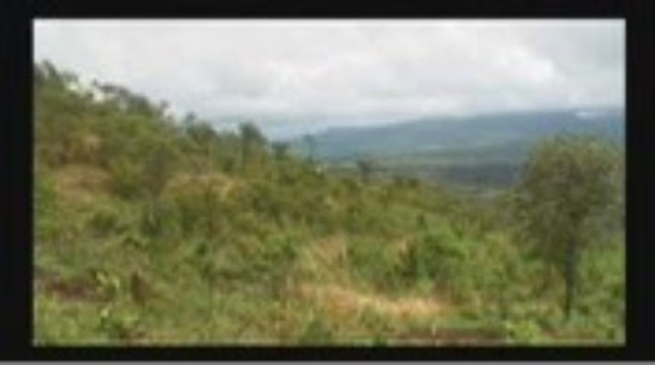 FGLG Draft Malawi Film Small Part 2