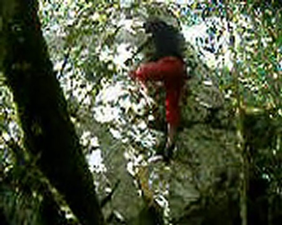 climbing block 4