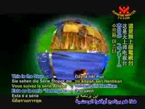 Sands of Slaughter: The Brutal Culling of Cape Fur Seals