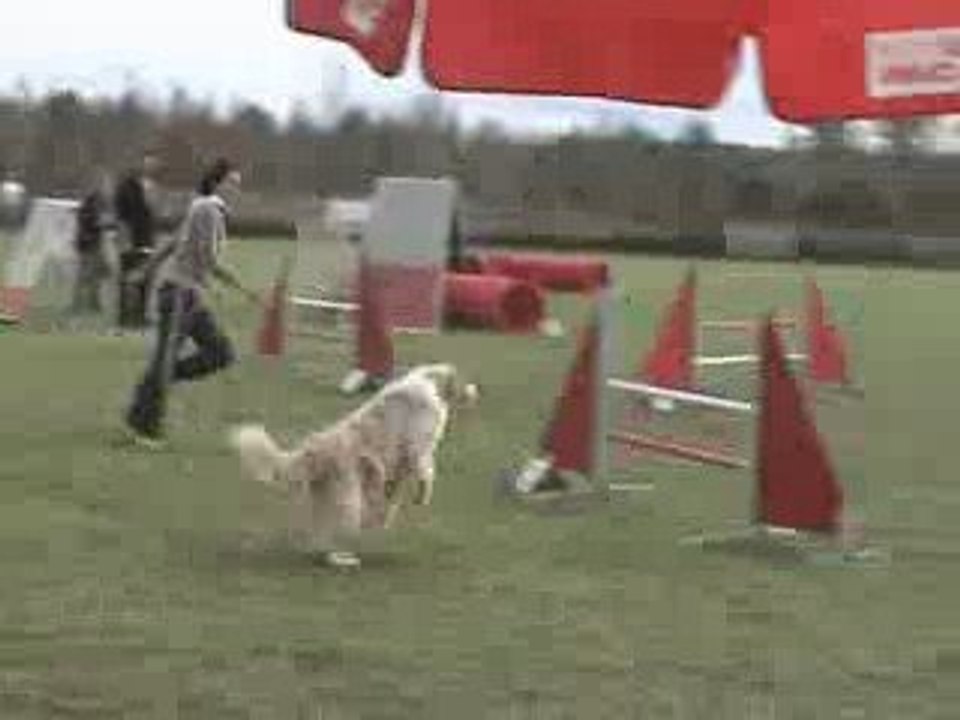 GPF Mersuay Apie 111009