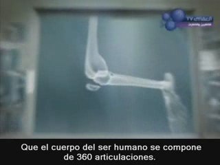 Tenemos 360 articulaciones (Milagro en el hadiz)