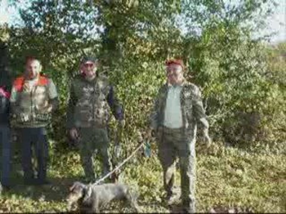 Bılecık av sonrası vıdeo