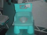 Infant and toddler health - Potty and Toilet Training Tips