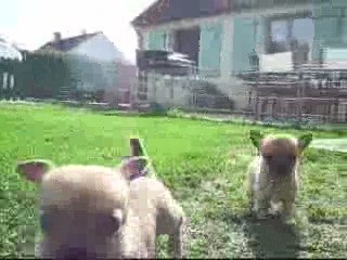 filles bridgette dans le jardin N °2