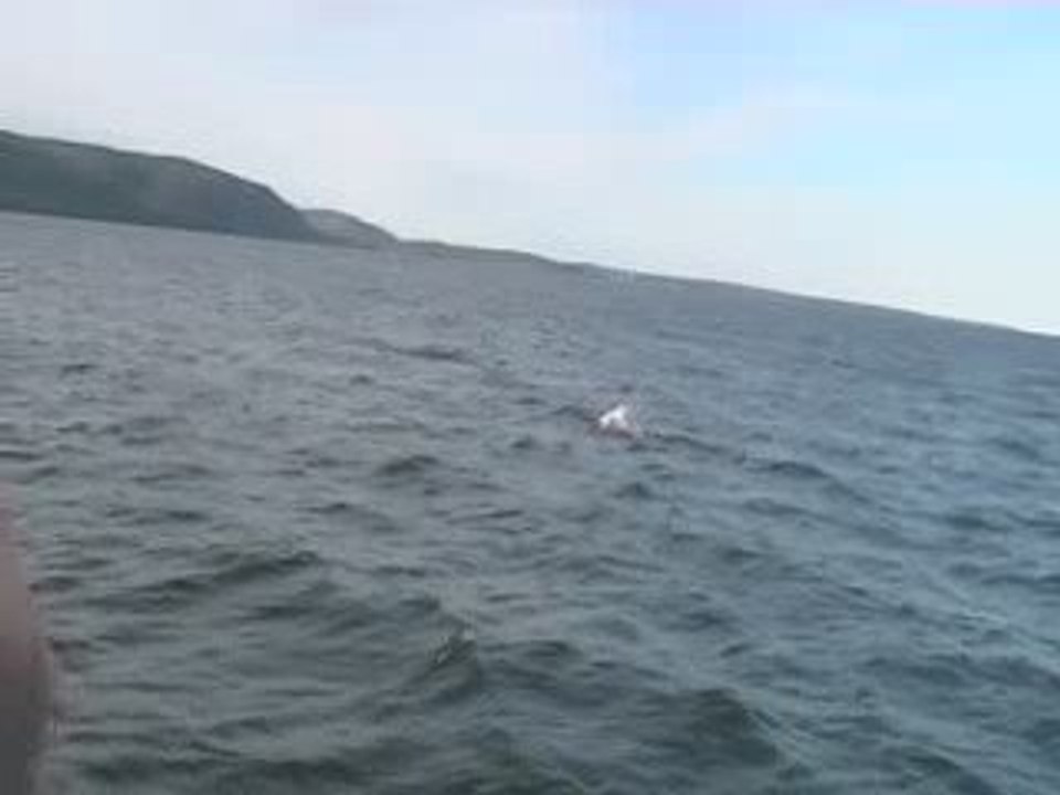 /Volumes/CLOCHÛTTE/Séquence/iMovie/mp4/Tadoussac