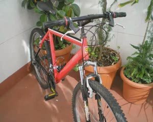 Ciclisti e Ferrari da Fernando Alonso