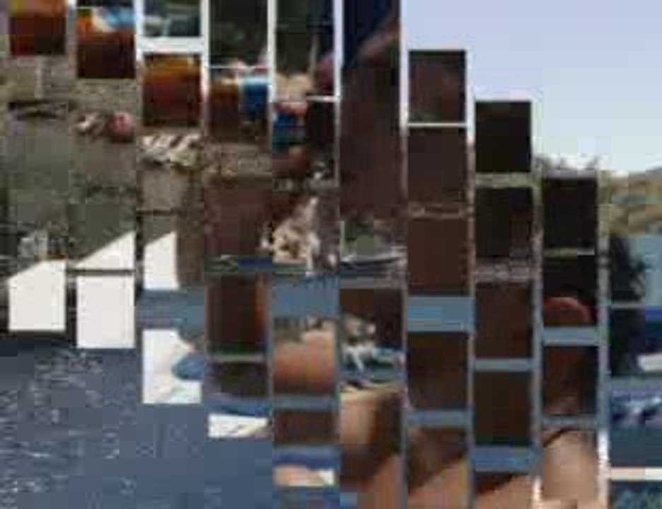 Summer_History