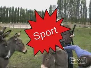 Promotion du BDE Ilis 2009