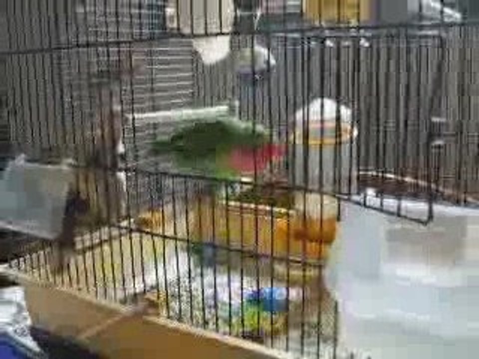 bonhomme joue à la balle