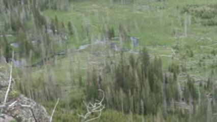 Voyage Yellowstone Jour j+4 (2)