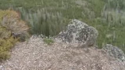 Voyage Yellowstone Jour j+4 (4)