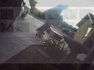 body organ sorting feat nimphphlown