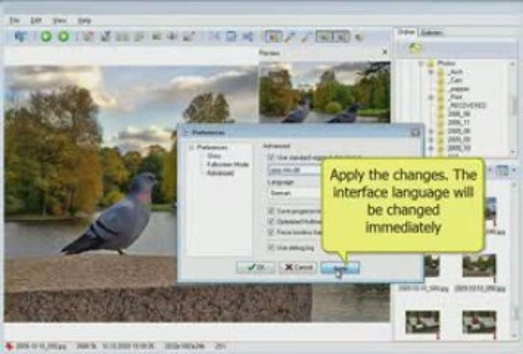 How To Change The Interface Language. Do It Wisely