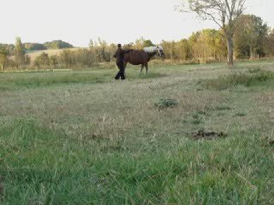 utha en longe 2ème séance
