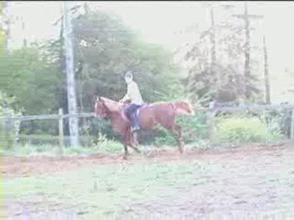 Guipapi à la maison en 2002