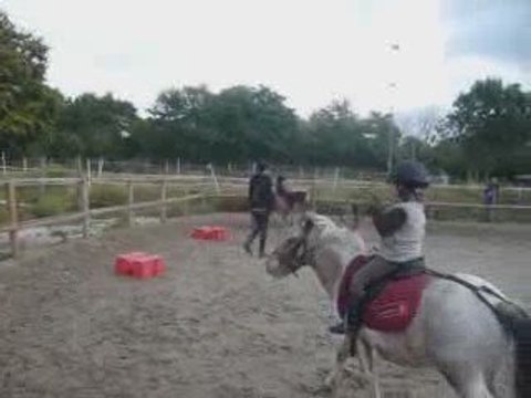 poney au trot