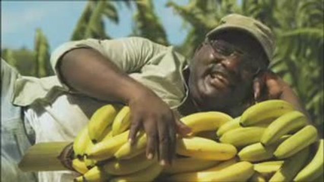 La caissière (Banane de Guadeloupe & Martinique) Respecte la
