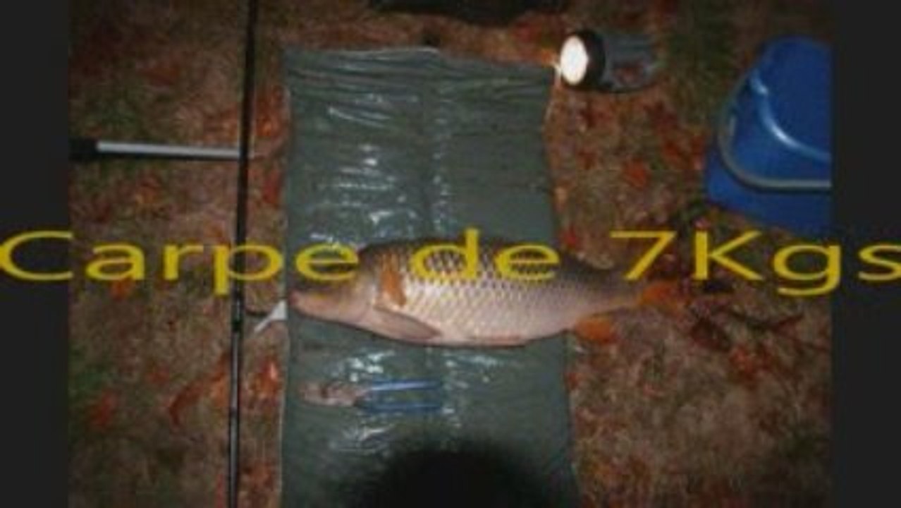 peche a la carpe