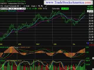 Stock Trading Idea Newsletter
