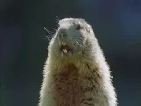 Hey Alan,Alan, Alan, Alan,Alan,Alan...