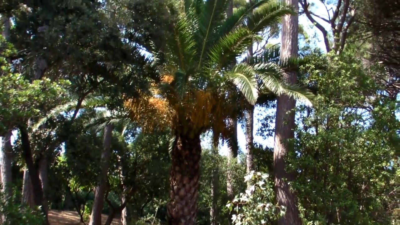 Visite jardin botanique Sainte Maxime Var (83)