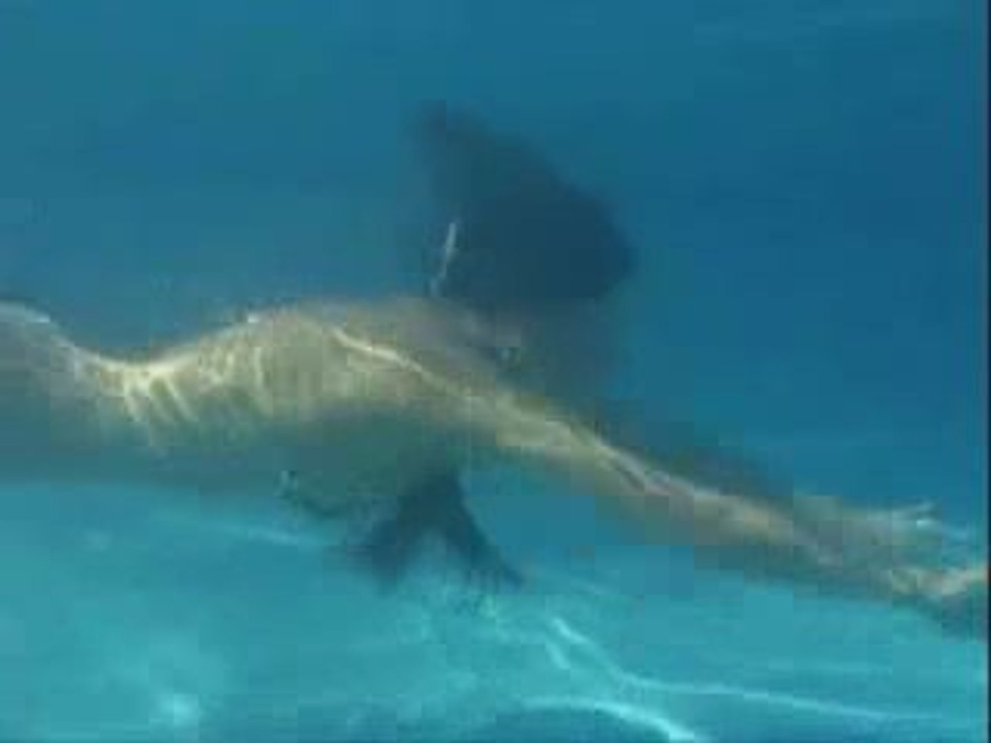 Andressa De Barros - in the pool