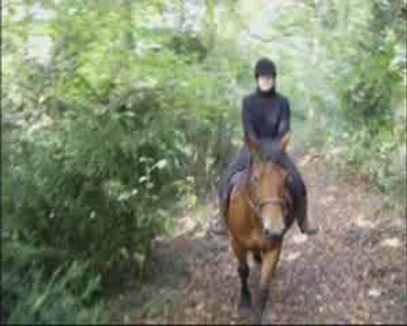 octobre13 2009 mirage monté pour la 1ere fois