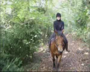 octobre13 2009 mirage monté pour la 1ere fois