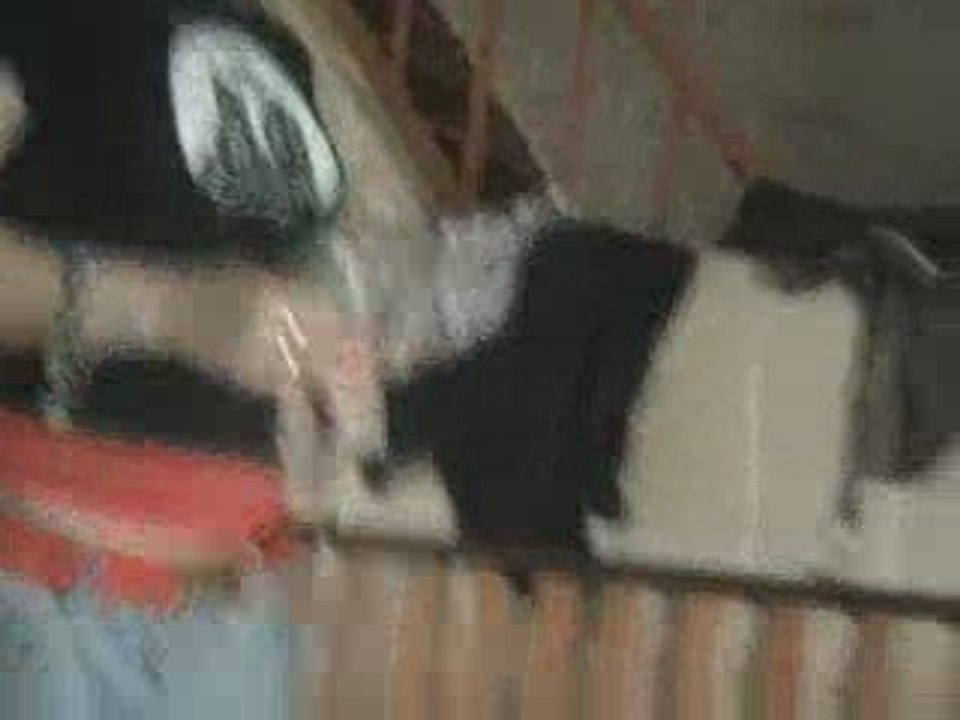 1surG(punk'anarkotik)"le choix-positif"