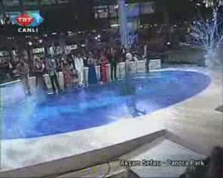 AYŞEN BİRGÖR £££ Yalan Dünya ( Bir Garip Yolcuyum )