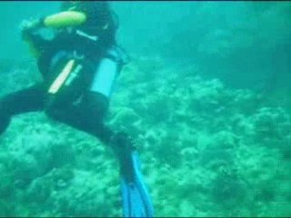 montage plongee ile maurice