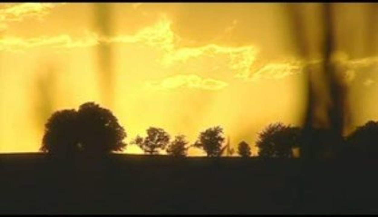 Elberadweg (Elbe Cycle Path)