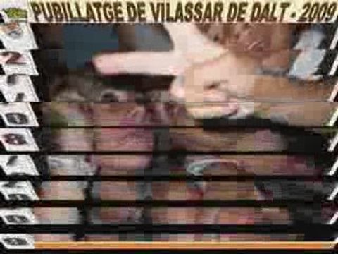 Elecció del Pubillatge de Vilassar de Dalt 2009