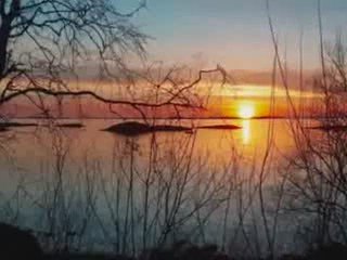 Fiona Joy Hawkins - From The Outside