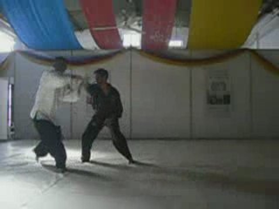 Hapkido Self Defense