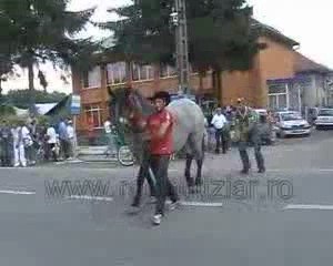 Touche pas à ma queue !