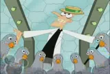 fineasz i ferb ale tylko mego brata