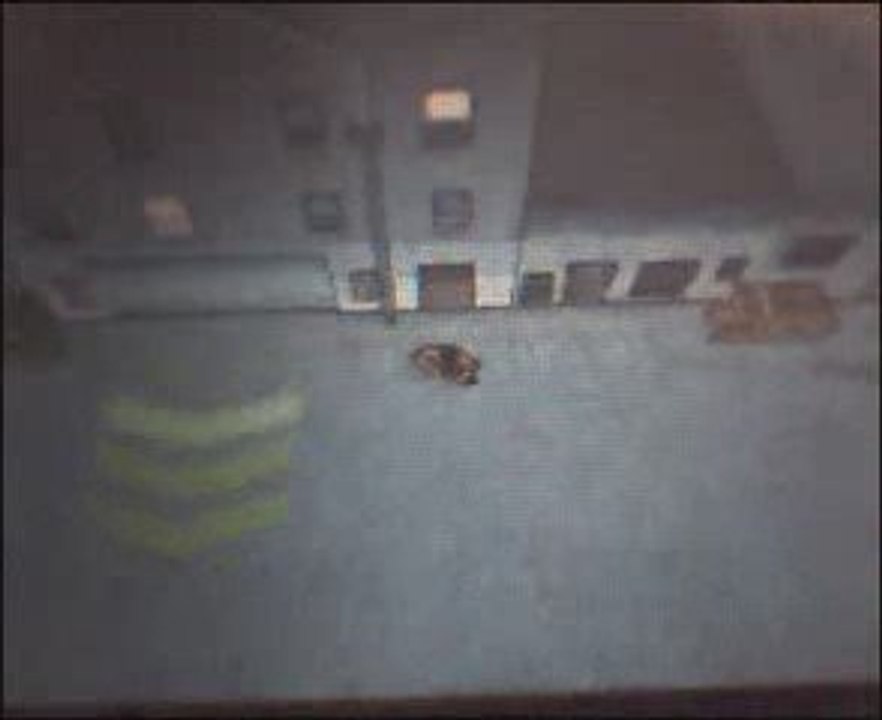 Video gamplay GTA Chinatown wars