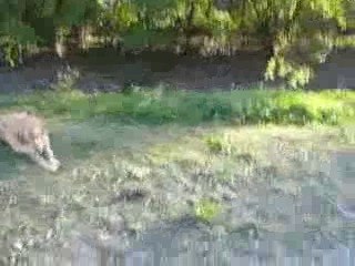 cayenne et tina en ballade