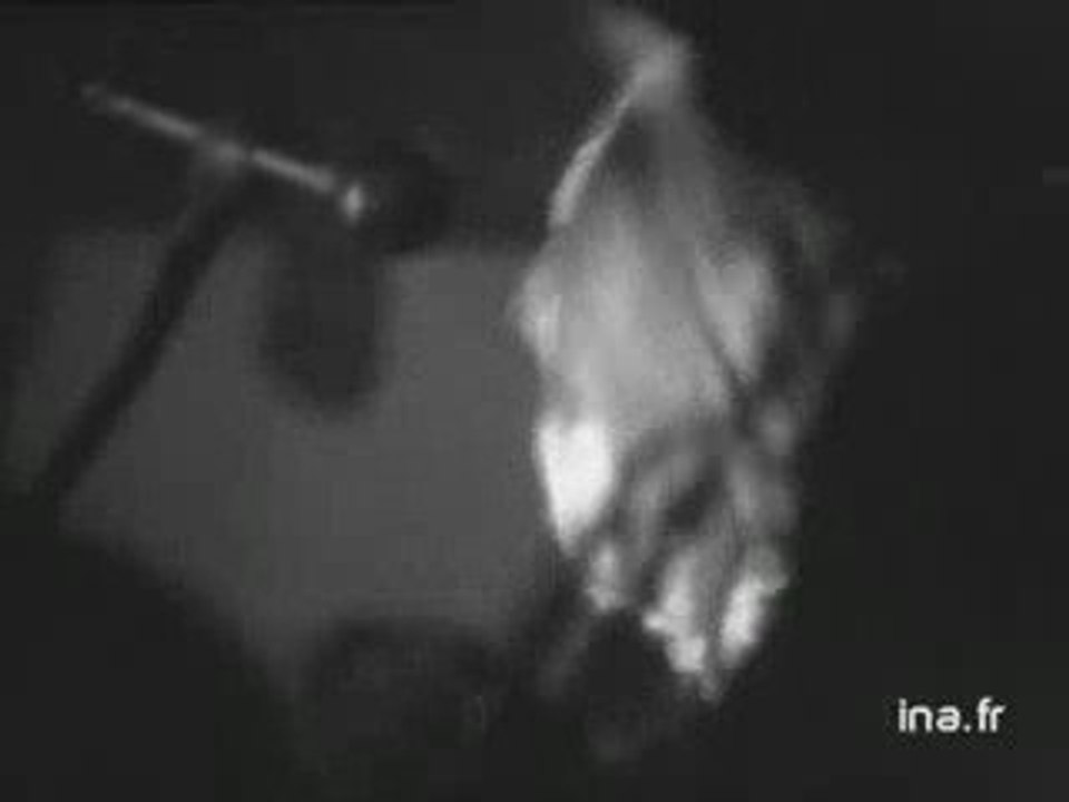 Johnny Hallyday et Sylvie Vartan en concert (Bordeaux)